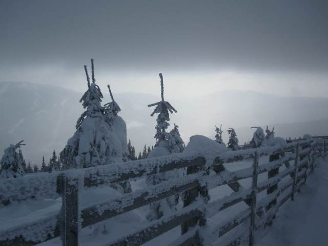 Spinleruv Mlyn Februari 2010